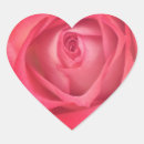 Search for rose macro stickers Nature