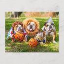 Search for funny bulldog postcards Dogs