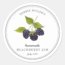 Search for blackberry fruit stickers Watercolor