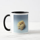 Search for guinea pigs mugs Blue