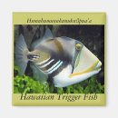 Search for state fish Triggerfish