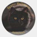 Search for evil cat stickers Creepy