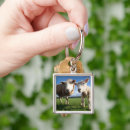 Search for baby lamb key rings Livestock
