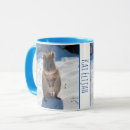 Search for beach boys mugs Cute