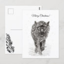 Search for the angry postcards Wild