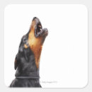 Search for shoulder stickers Animal