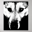 Search for wolf pup posters Dogs