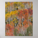 Search for provo posters Colour