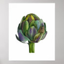 Search for artichoke posters Organic