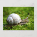 Search for closing postcards Shell