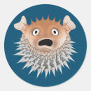 Search for shock stickers Funny