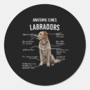 Search for labrador retriever stickers Pet