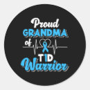 Search for diabetes warrior stickers Affordable insulin