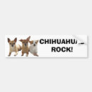 Search for chihuahua bumper stickers Dog