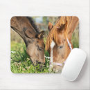 Search for horse mouse mats Foal