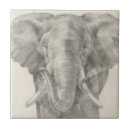 Search for elephant tiles Zoo