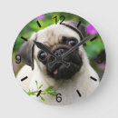 Search for pug clocks Cute