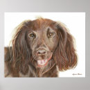 Search for cocker spaniel art Canine