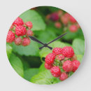 Search for raspberry posters Close up