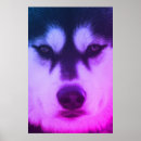 Search for siberian husky art Black