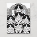 Search for black and white cat postcards Beautiful