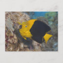 Search for beautiful ocean life postcards Sea