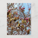 Search for bud postcards Blue