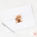 Search for mixed breed dog stickers Cute