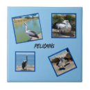 Search for pelican tiles Bird