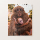 Search for small monkey photography For her