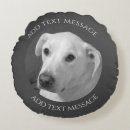 Search for dog cushions Simple