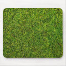 Search for moss electronics Background