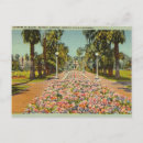Search for beverly hills postcards Vintage