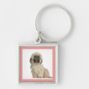 Search for shih tzu key rings Puppies