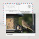 Search for garden birds postcards Nature