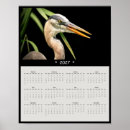 Search for great blue heron calendars Wildlife photography
