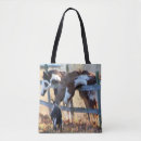 Search for fences bags Horse
