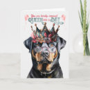 Search for rottie birthday cards Dogs