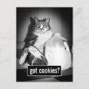 Search for drinking jokes postcards Humor