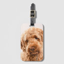 Search for goldendoodle gifts Dog