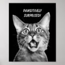 Search for surprise posters Cat