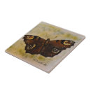 Search for frida kahlo tiles Coyoacan