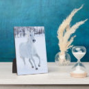 Search for danita delimont plaques Darrell gulin