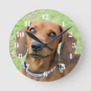Search for dachshund clocks Cute