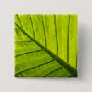 Search for veins badges Leaf