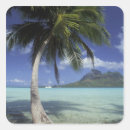 Search for bora stickers Beach