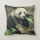 Search for giant panda cushions Cute