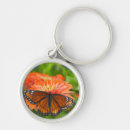 Search for mimic key rings Limenitis archippus