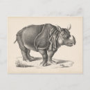 Search for rhino postcards Antique