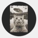 Search for vintage cat stickers Republican
